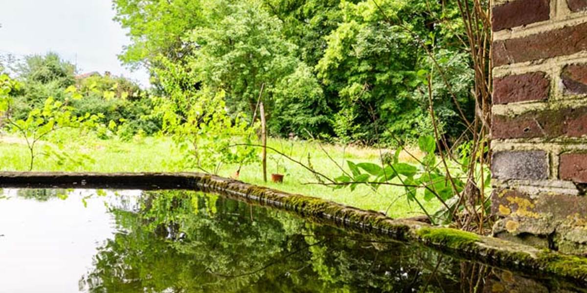 Pièce d'eau du parc du château, remplie après les pluies