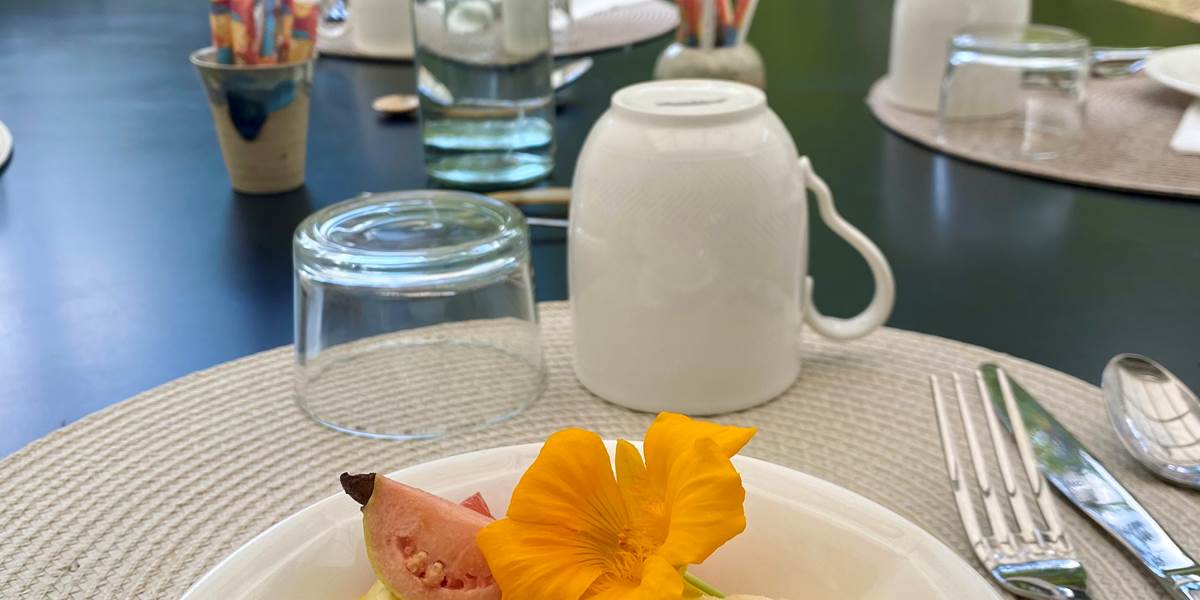Petit-déjeuner servi dans le jardin tropical avec produits locaux et frais de saison à la maison d'hôtes L'ESCAPADE BELLEPIERRE