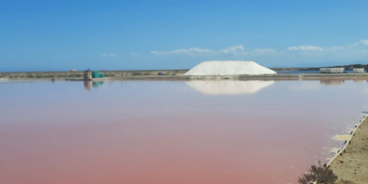 Les salins de Gruissan