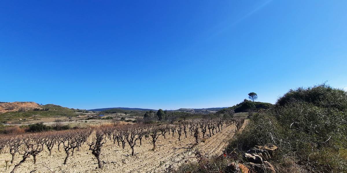 Des balades sous un beau ciel bleu toute l'année