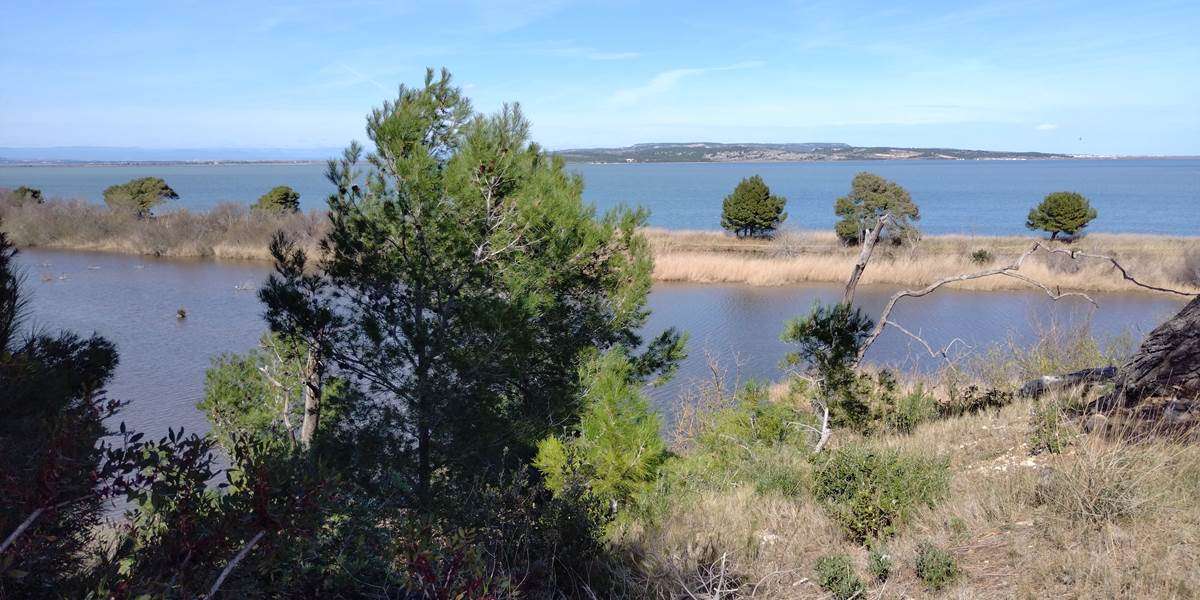 Île Sainte Lucie