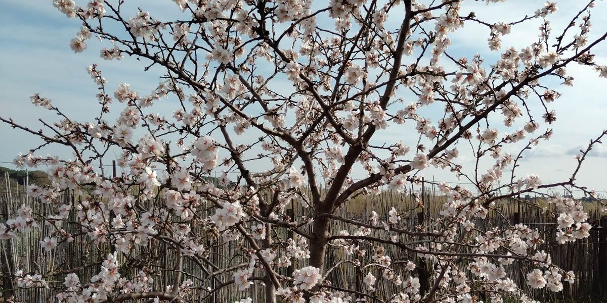 Le printemps est de retour