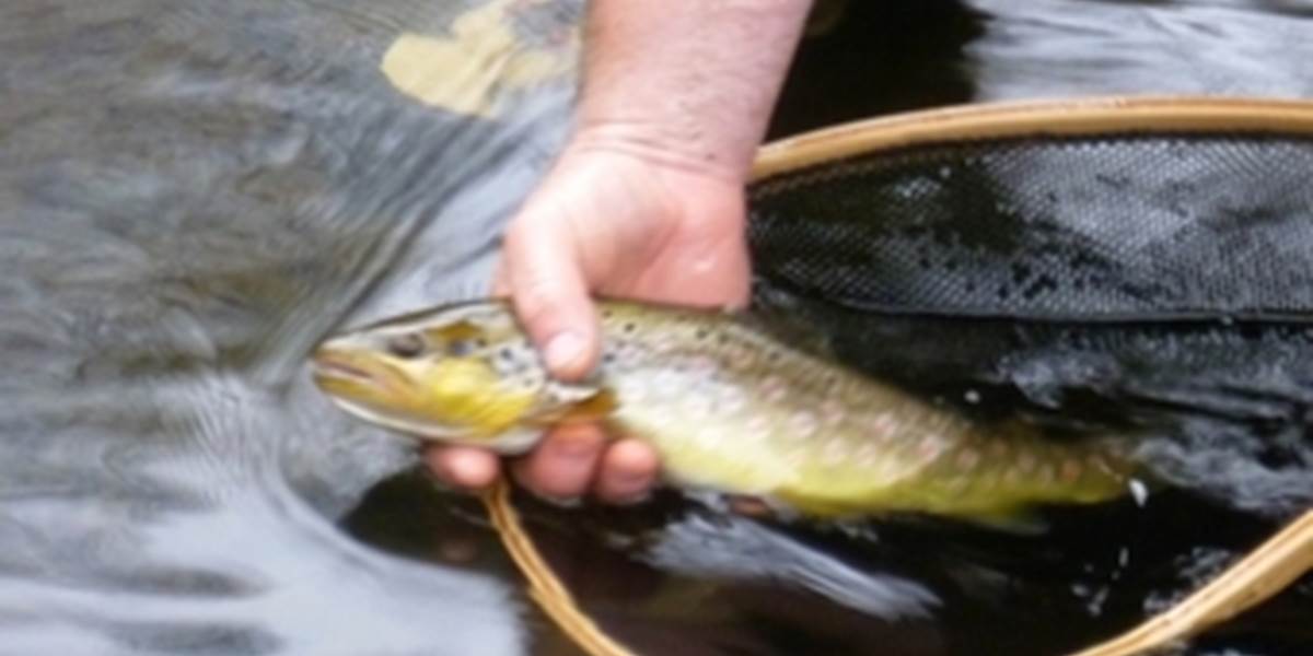 ami pêcheur, le limousin, un pays pour vous pêcheur, hébergement pêche 87120