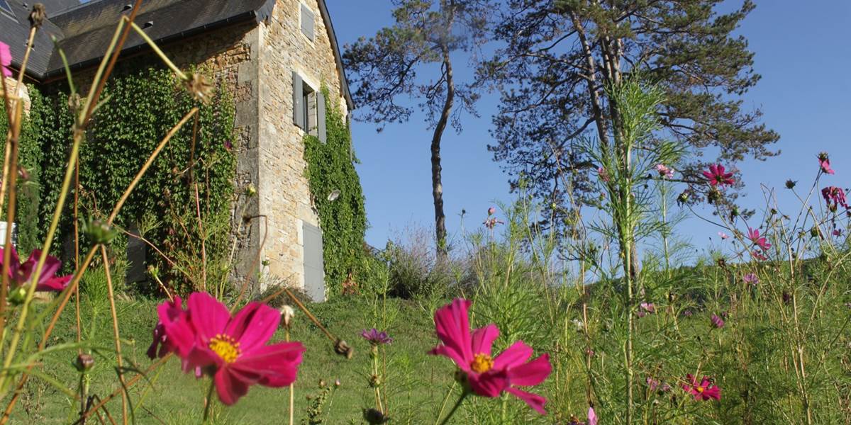Ambiance du domaine côté gîte