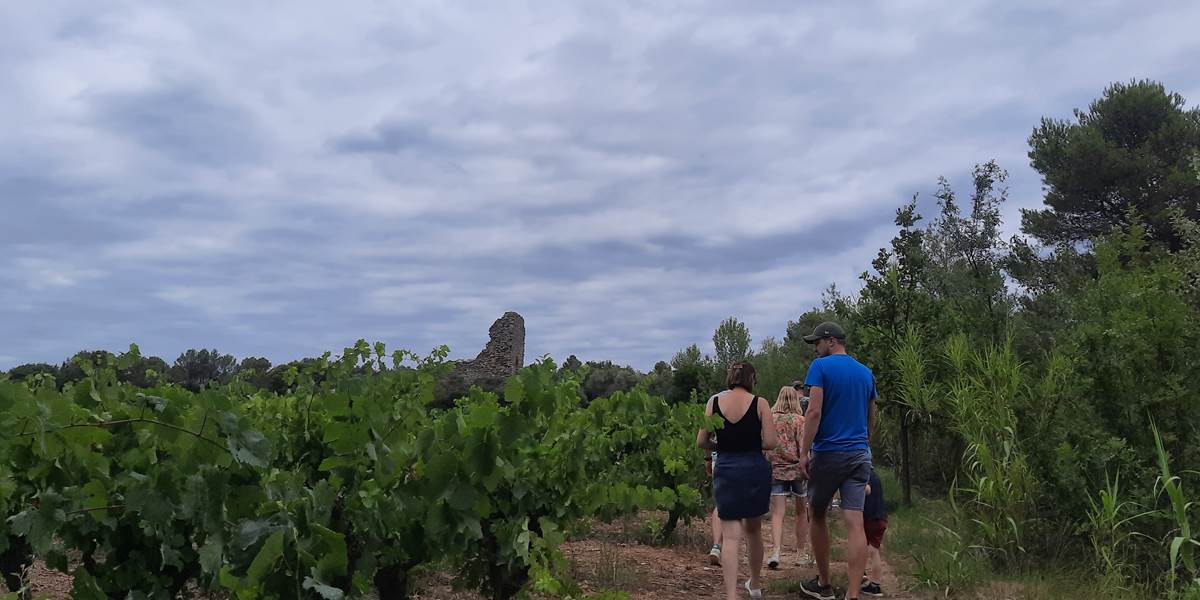 Balade vigneronne Domaine La Tasque