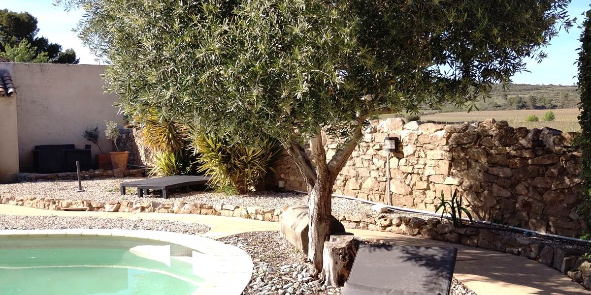 Un peu de détente au bord de la piscine