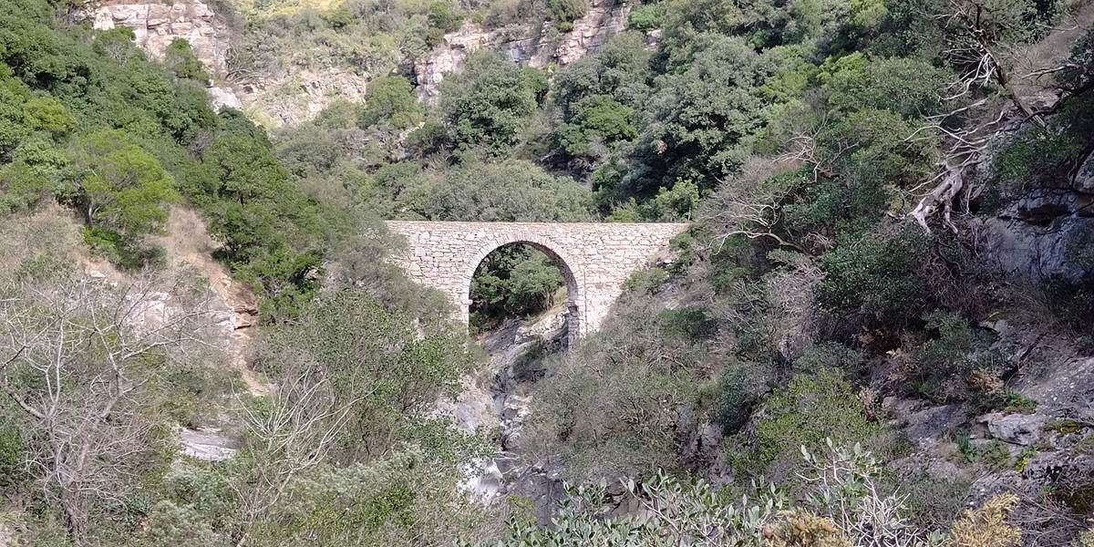 Minerve