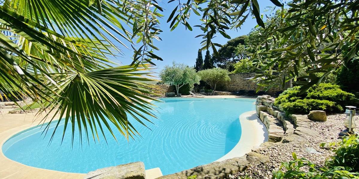 Piscine privée partagée avec tous nos hôtes
