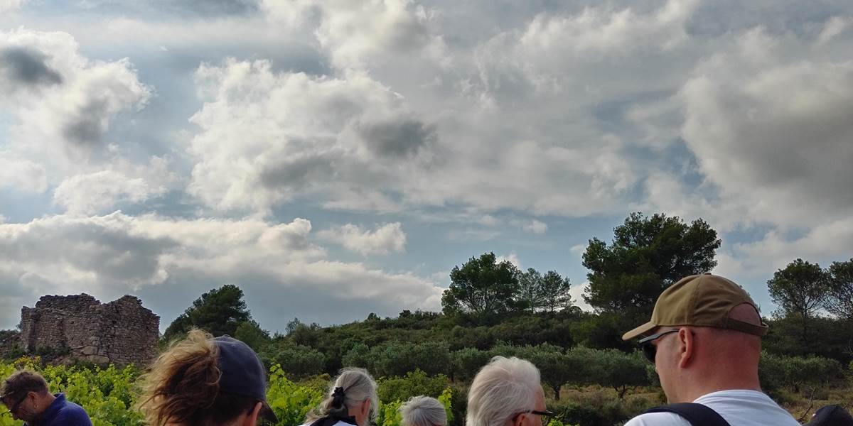 Visite guidée Mailhac