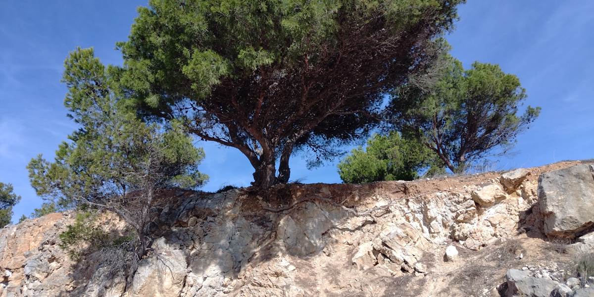 La nature préservée à de nombreux endroits