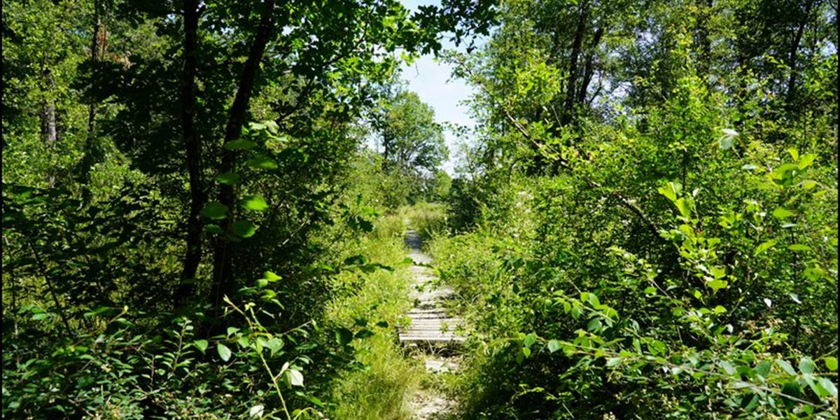 Chemin zone privée