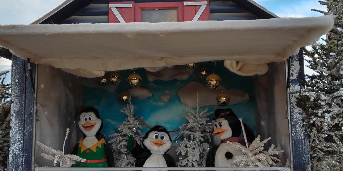 Le Coq du Nord-Mailhac découvre la magie de Noël à Le Barcarès