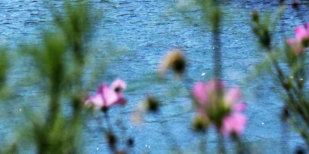 Ambiance nature