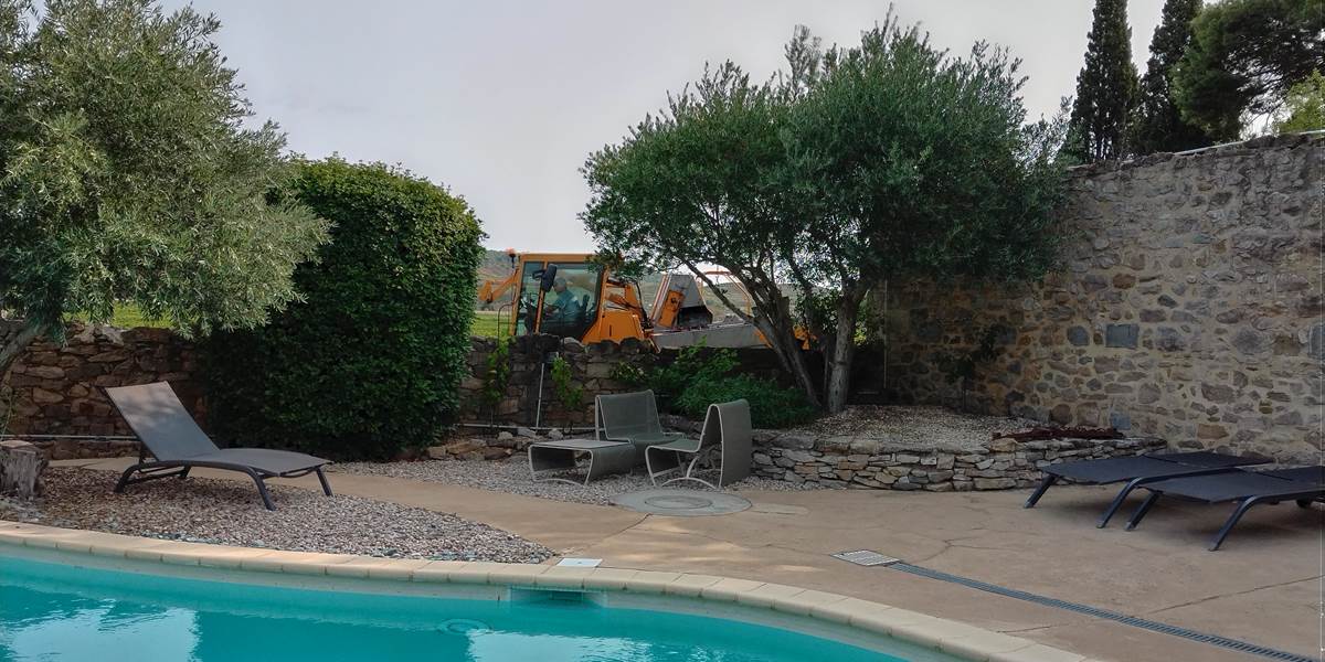 Petit déjeuner en observant les vendanges 🍇🍇🍇