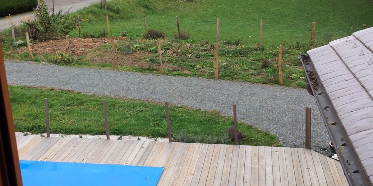 Vue extérieure, par la fenêtre, ou l'on aperçoit la piscine, jardin potager bio, avec une vue sur la campagne environnante