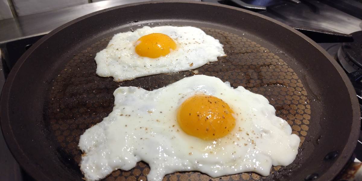 Possibilités de manger des oeufs de notre producteur au petit-déjeuner lors de votre séjour en chambre d'hôtes