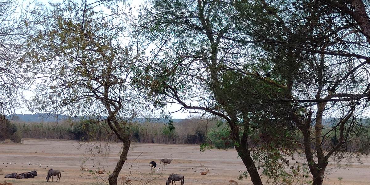 Réserve Africaine de Sigean