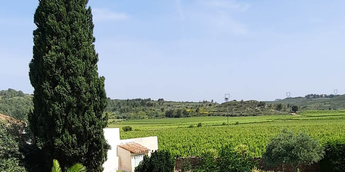 Le Coq du Nord-Mailhac  jardin partagé hôtes gîte et chambres d'hôtes