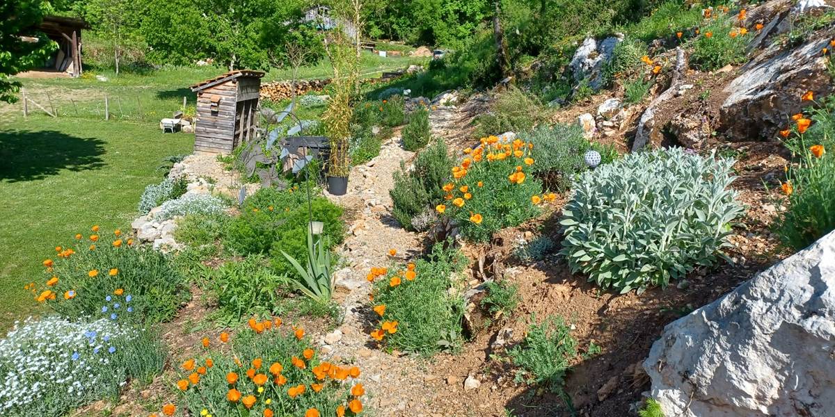 Allée du jardin