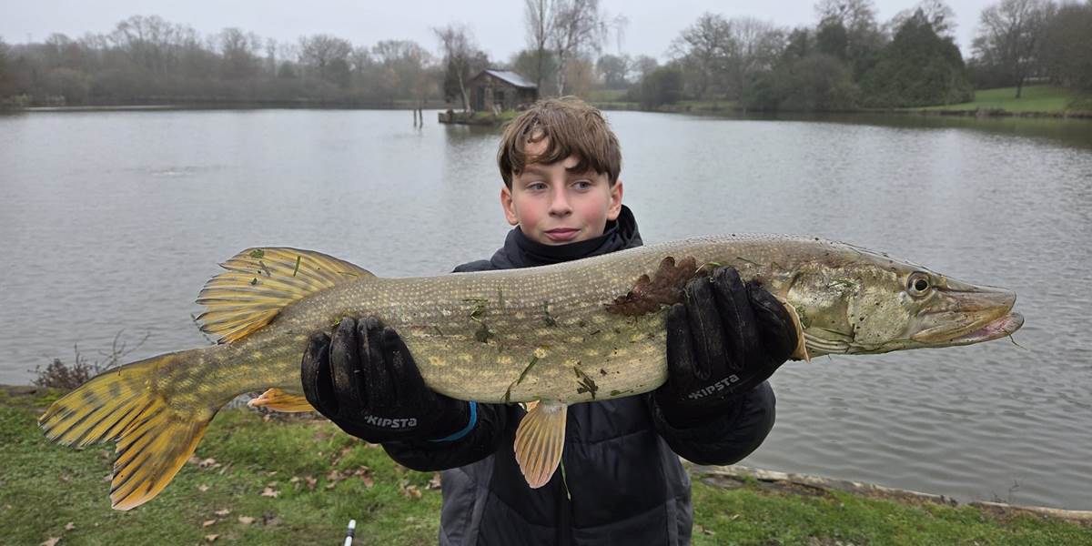 Brochet