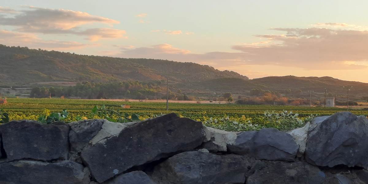 Vues magnifiques à partir du Coq du Nord-Mailhac