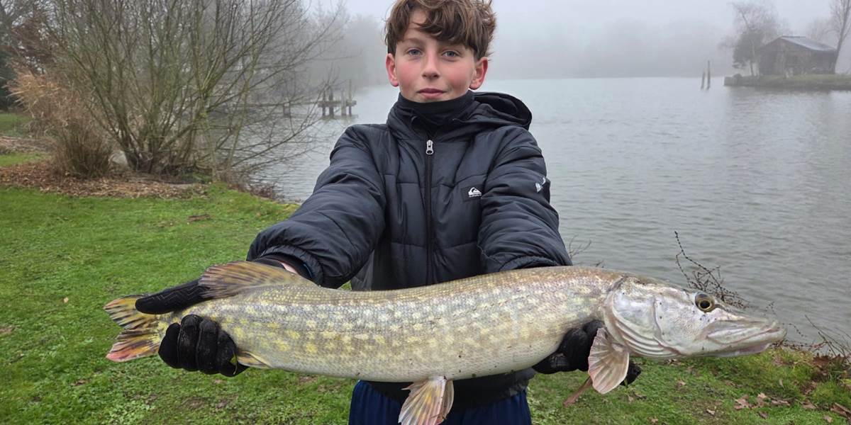 Brochet