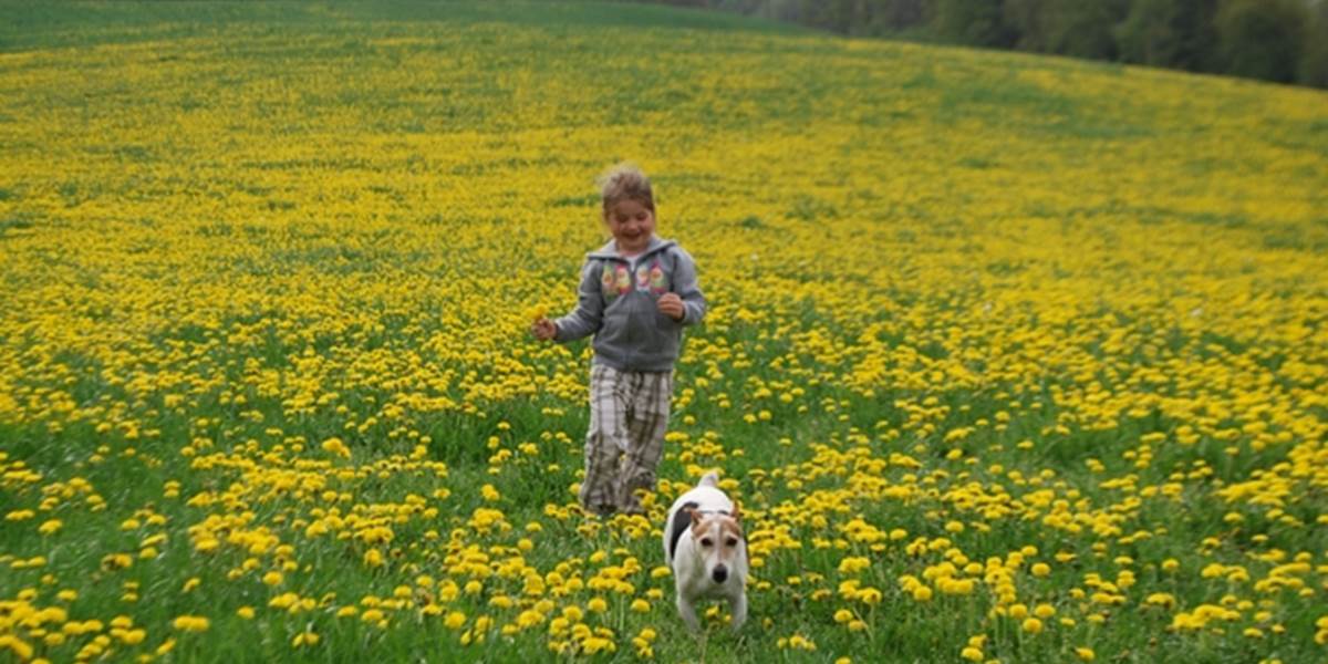 printemps, pissenlits, évasion, la Nature se réveille au Ranch des Lacs