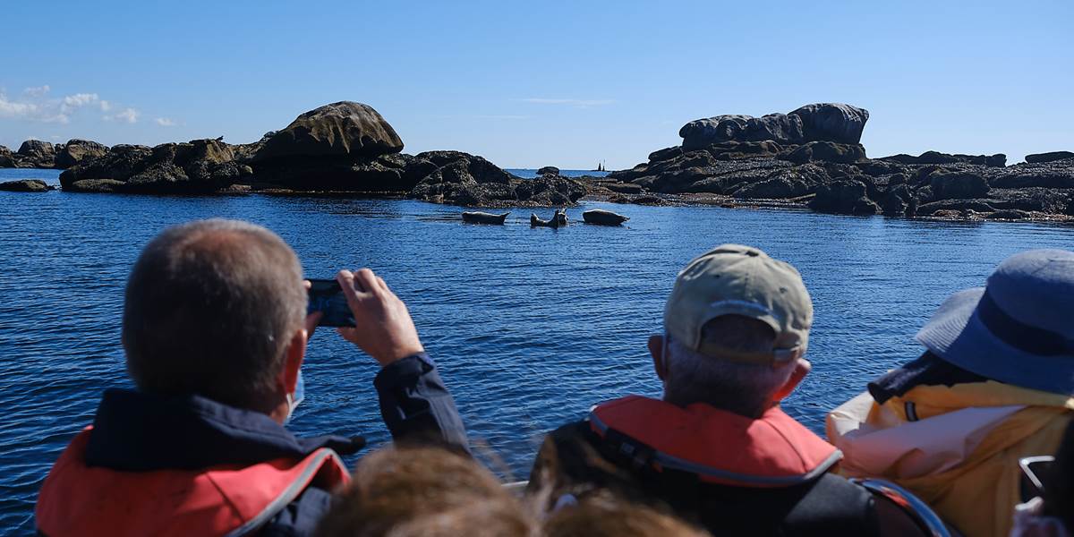 Une balade nature en mer exceptionnelle