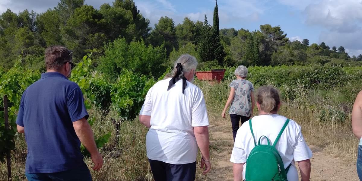 Découverte du vin avec Le Domaine La Tasque