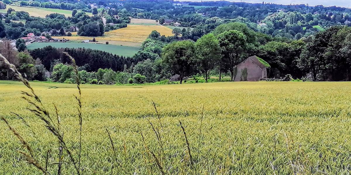 Flémalle-Promenade balisées N2-Juin 2019