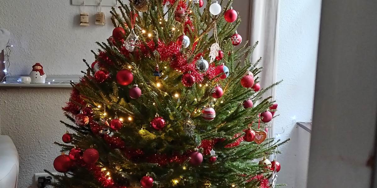 Mon beau sapin....