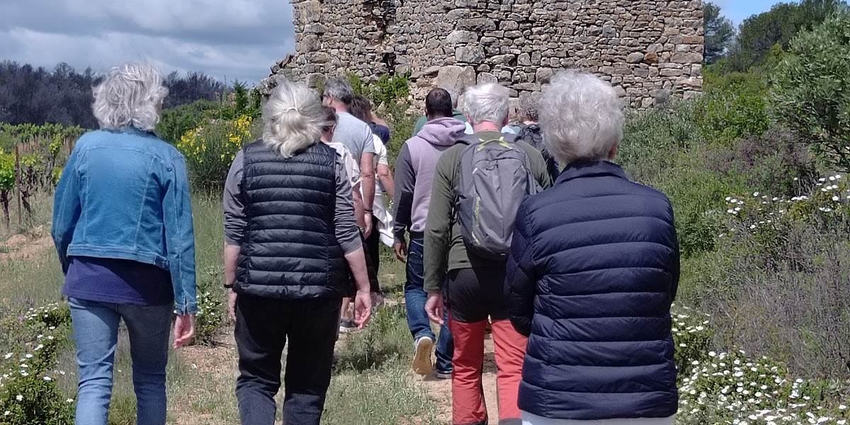 balade vigneronne au coeur des vignes du Domaine "La Tasque"