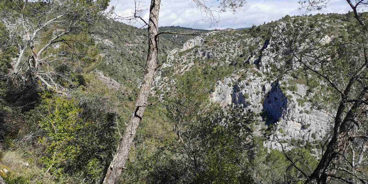 Caunes-Minervois