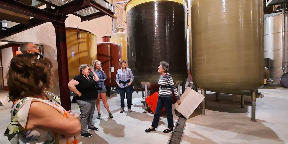 Visite avec nos hôtes du Domaine Pierre Fil