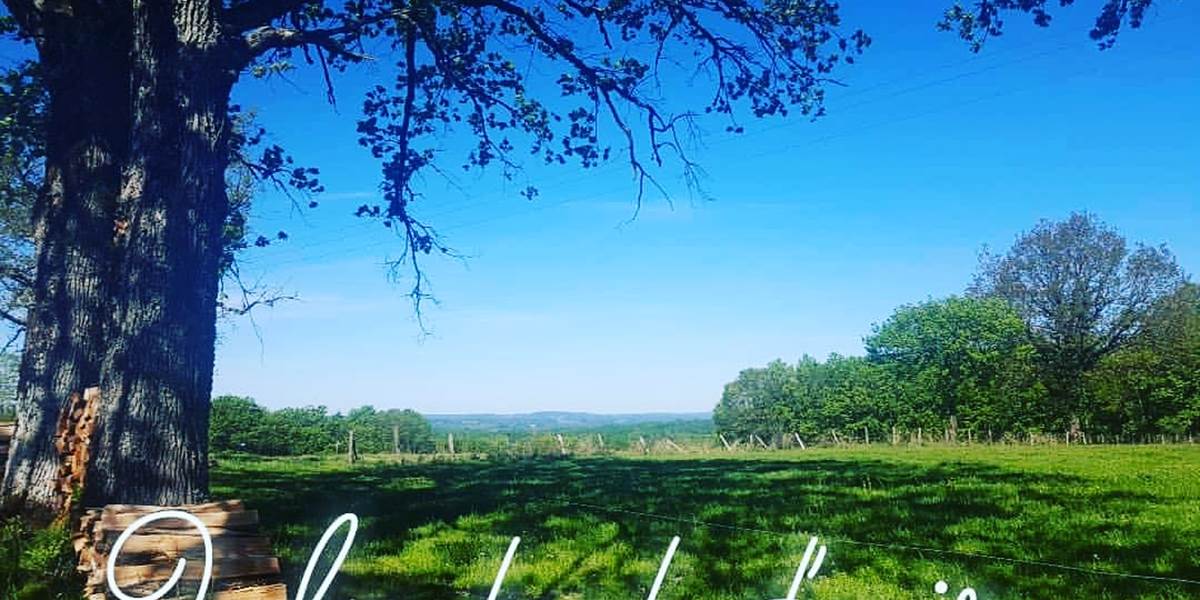 MARS  Un bol d'air au Ranch des Lacs