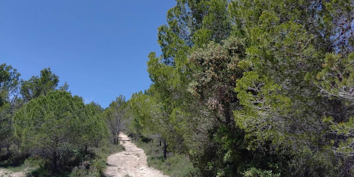 de belles randonnées dans le Minervois