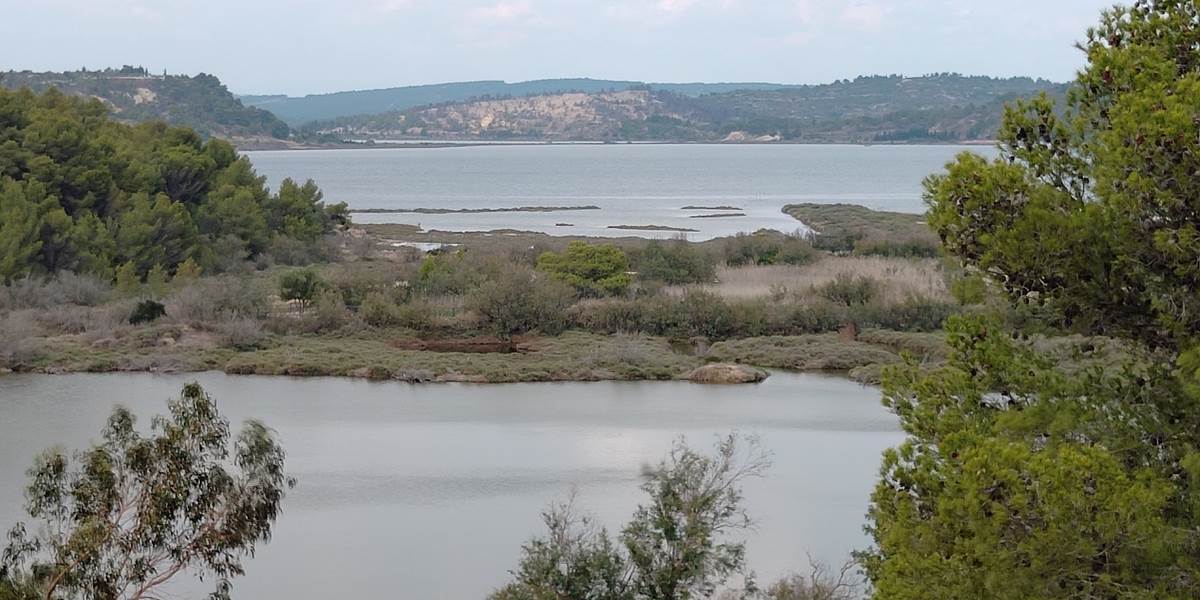 Superbe vue à la Réserve Africaine de Sigean