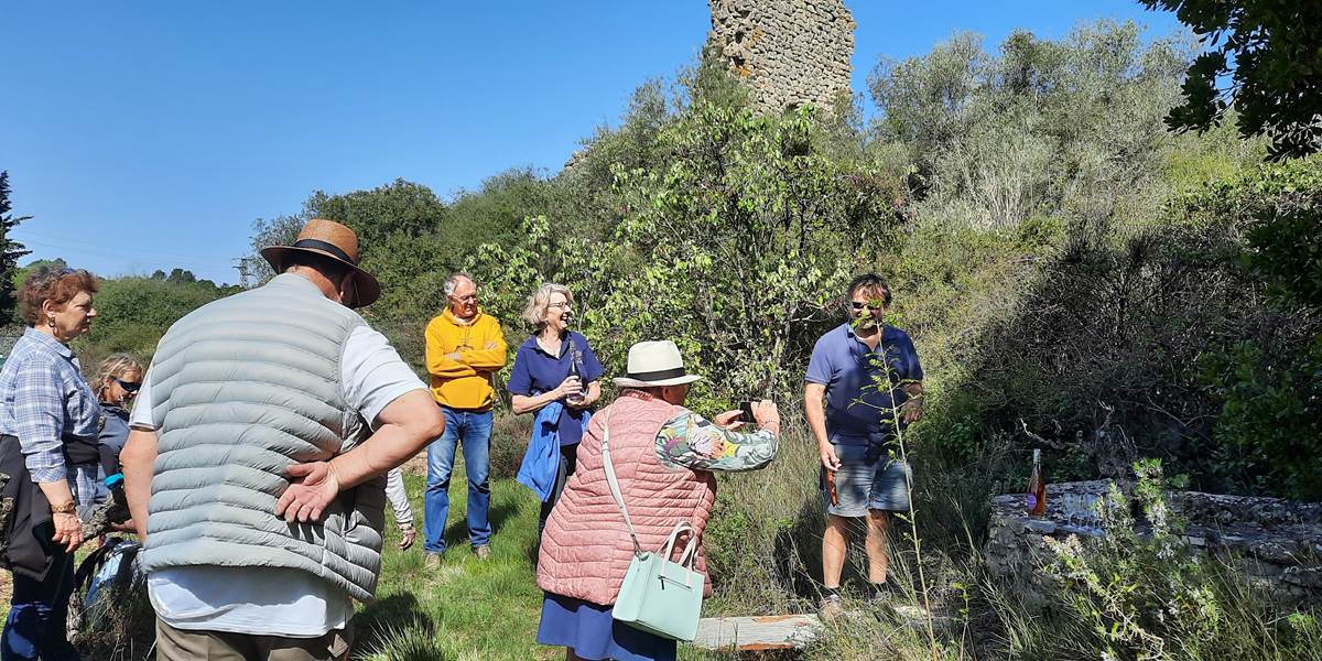 Balade dans les vignes de Mailhac