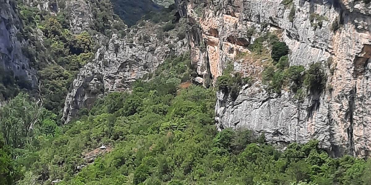 Minerve