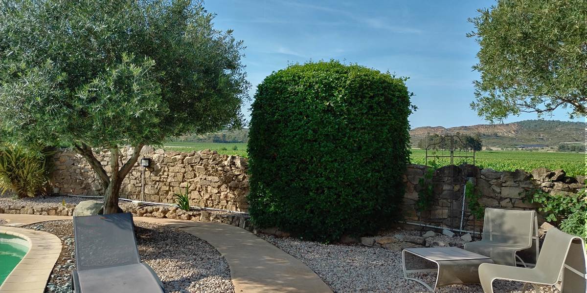 Une vue sur les vignes et le Cayla dont on ne se lasse pas