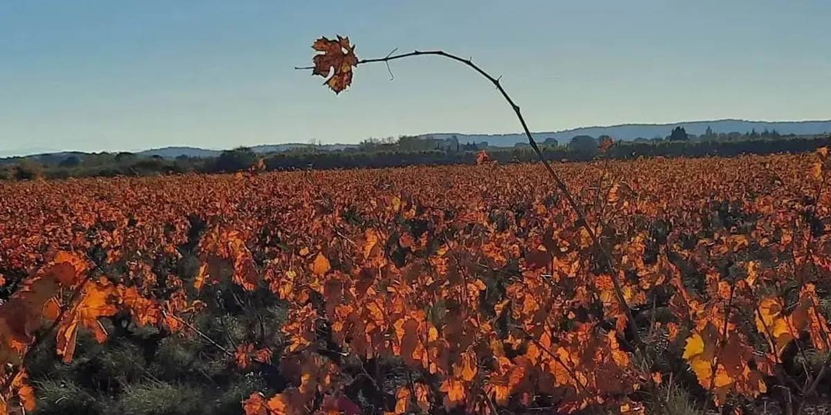 Les superbes couleurs automnales