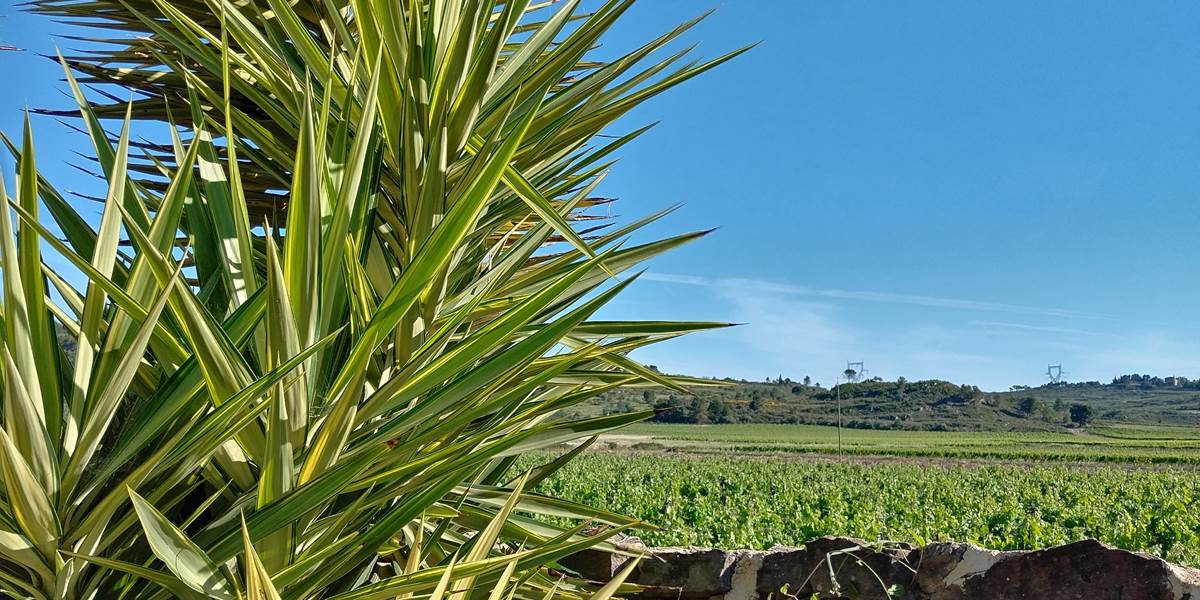 Venez vous détendre au sein de nos chambres d'hôtes et notre gîte