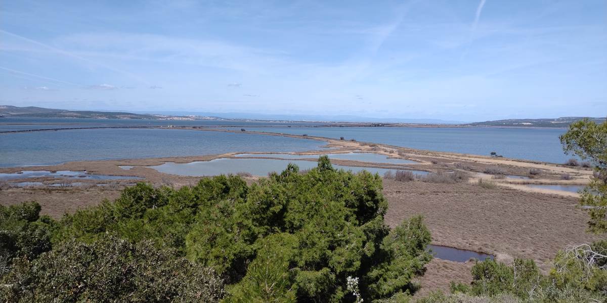 Île Sainte Lucie