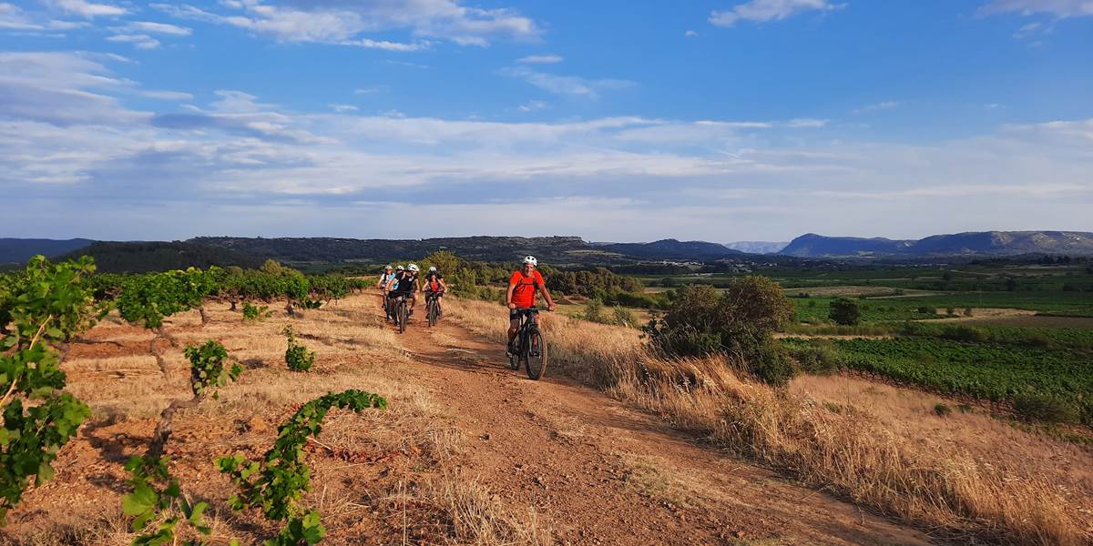 Balade dans les vignes des corbières en vtt électrique