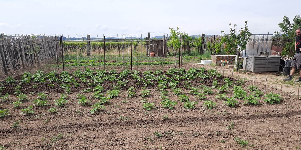 Potager "Le Coq du Nord-Mailhac"