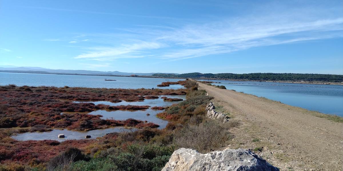 De superbes balades dans la nature