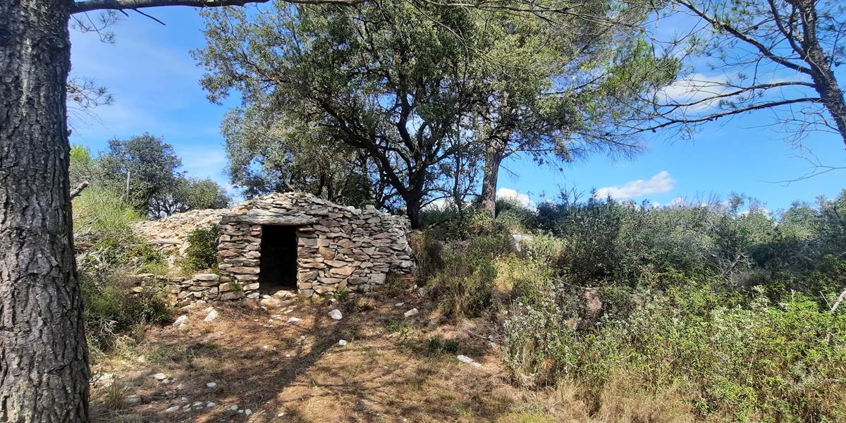 Le dolmen: vestiges de Mailhac