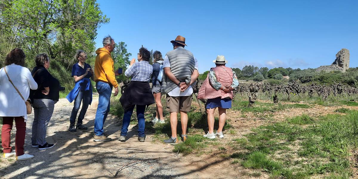 Balade vigneronne avec les vignerons de Mailhac