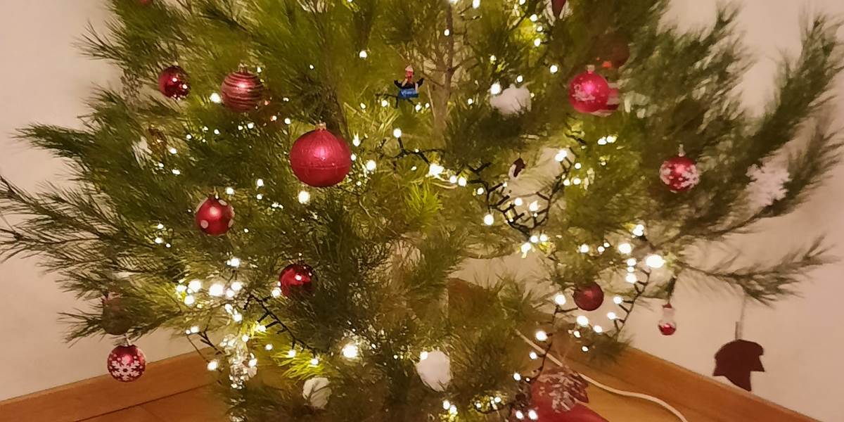 Les fêtes de fin d'année à Le Coq du Nord-Mailhac