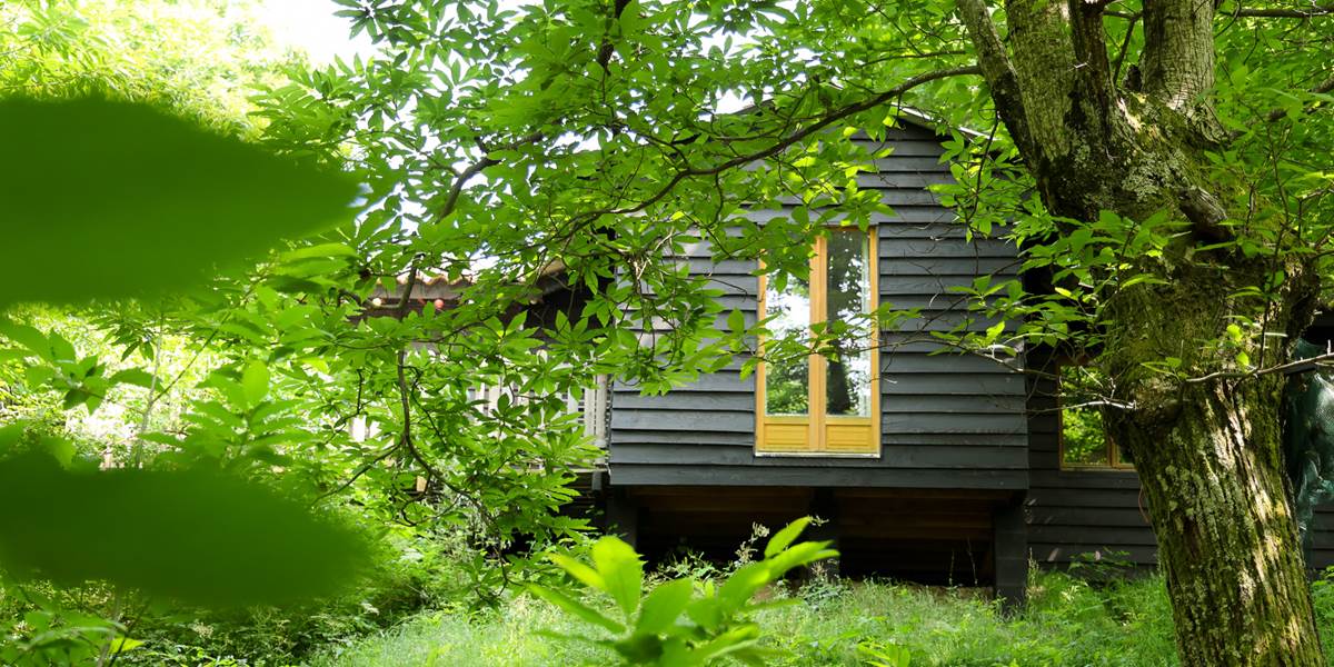 Chalet Canopée, la tête dans les châtaigniers